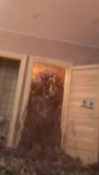 Original credit to u/Patiffonka on r/Unexpected