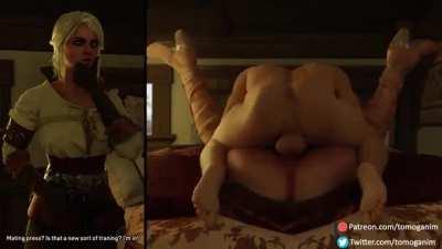 Ciri training (tomoganim)