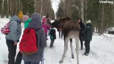 There's a lesson to be learned here