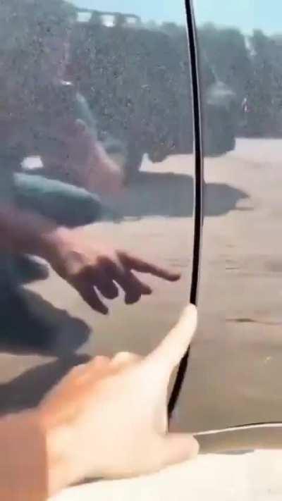 Consideren esto si tienen pensado comprar un carro