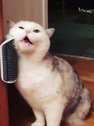 Oh,yah, it feels so good.