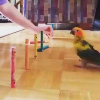 i want't let you finish this!!