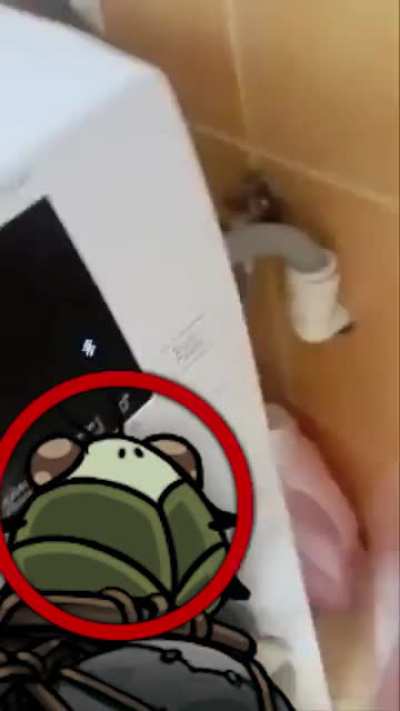 How did bro escape Pharloom?