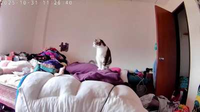 I don't get much sleep