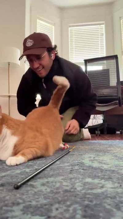 Orange likes to be spanked 😼