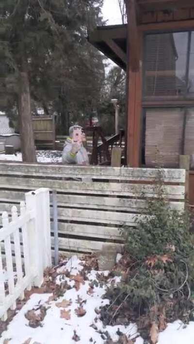 Turns out my neighbor is a Nazi..