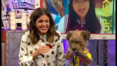 This pops up in my timeline every now and then and it kills me every time