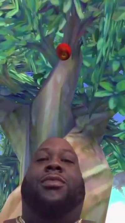 Man discovers gravity