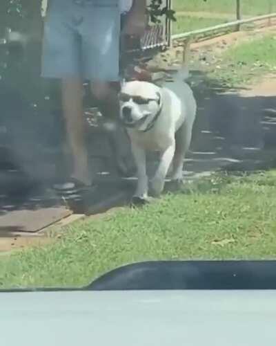 It’s wings needed maintenance so it caught a ride