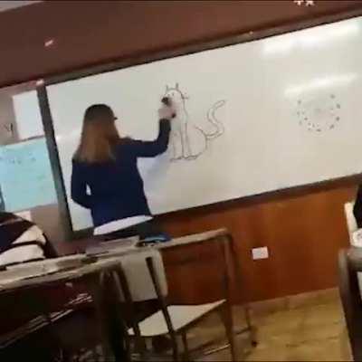 A cute cat drawn by students..