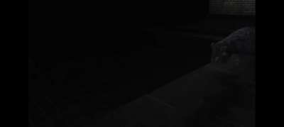 What's all the fuss about?