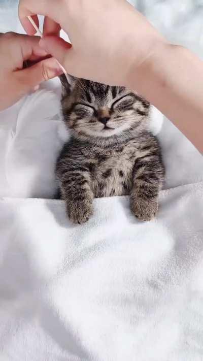 This cat is more clean that 90% of humans