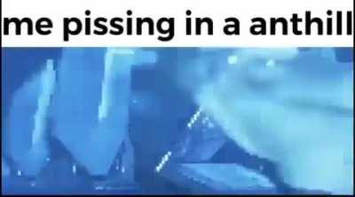 nature has an order... a power to restore balance