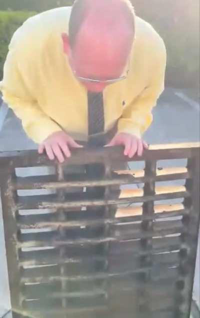 We have ducks around our office. Some little hatchlings found themselves in a precarious situation and Momma duck seemed very grateful…