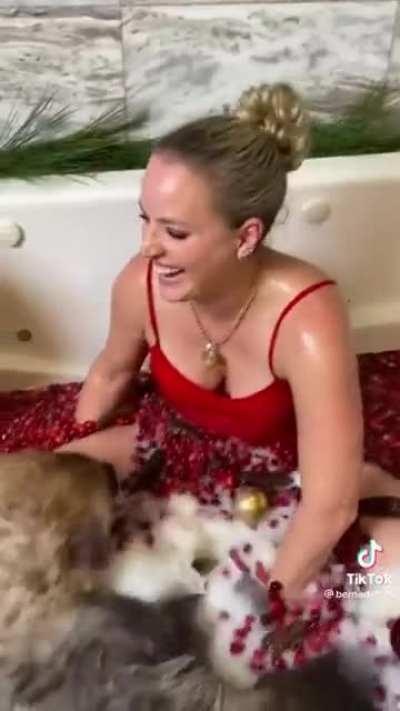 Taking a bath with a hyena and a chimpanzee