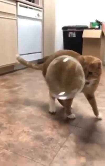 Did I just break it?