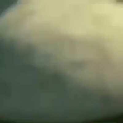 Shrek, this is for you