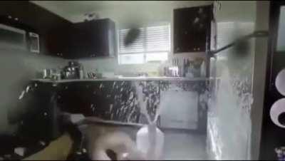 Berlin anytime he sees a female npc