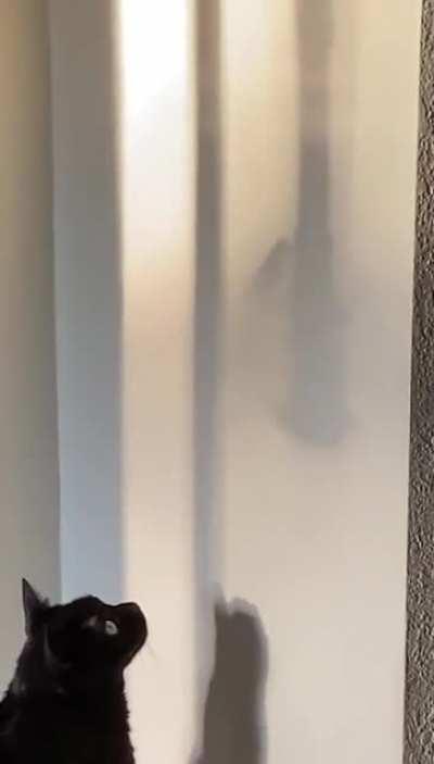 Steve, you’re looking the wrong way