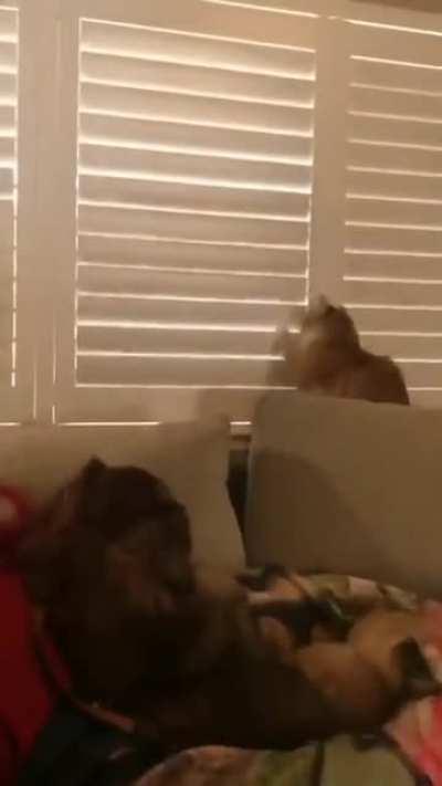 Don't yest my patience, mike