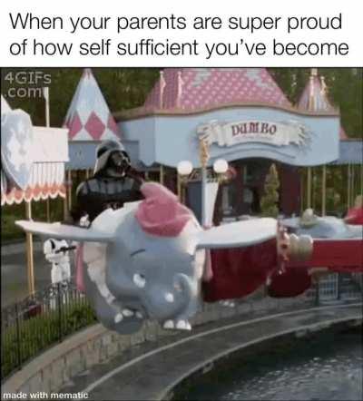 Baby bird is leaving the nest.