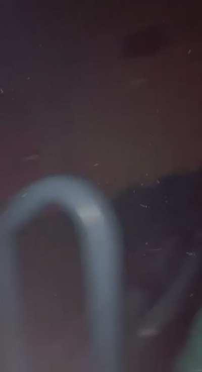 Naughty marge simpson in the back of the show 😉