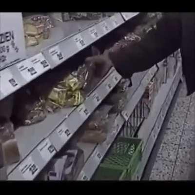 Veteran bowman hunts for food