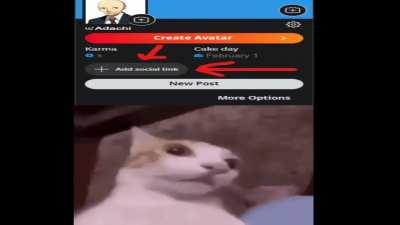 SOCIAL LINKS ON REDDIT? PERSONA REFERENCE CONFIRMED?!!