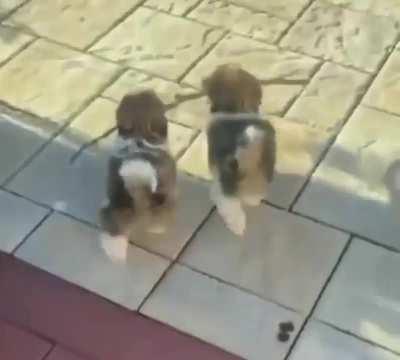 Branch manager and assistant branch manager.