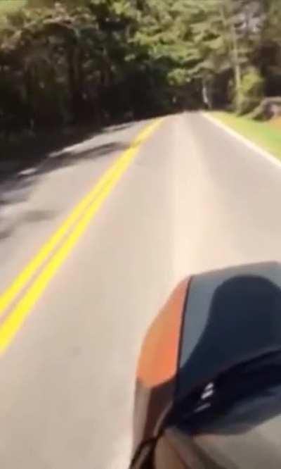 Skateboarding on a dead car 🤫