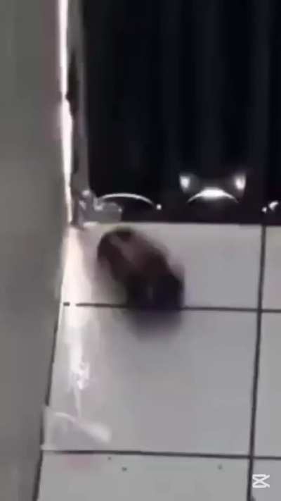 Nothing Suspicious Here😏😏😏😏😏