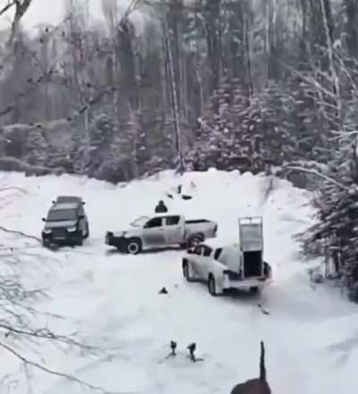 Siberian Tiger returns to freedom