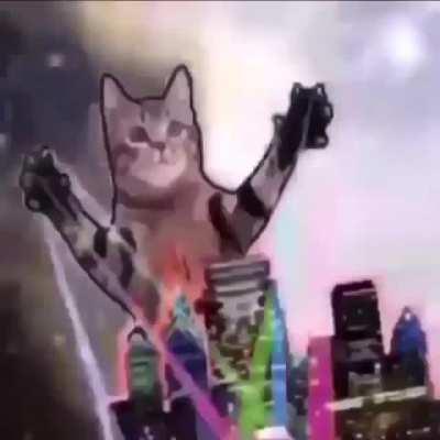 idk what this is but i like it