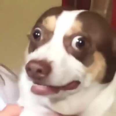 Finally caught on camera