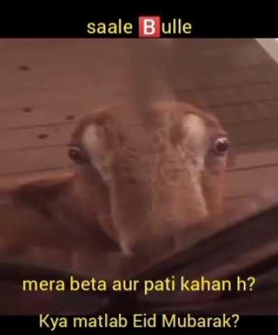 Normie post 👍😞