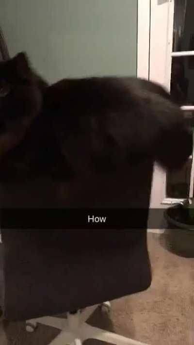 Peapod’s favorite seat in the house