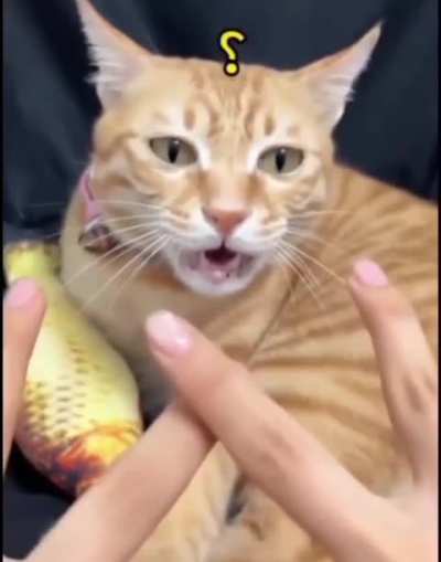 Bro was not prepared for multiple choice 