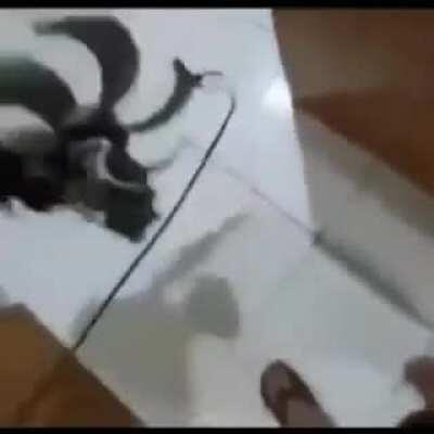 Refutou Benjamin Franklin