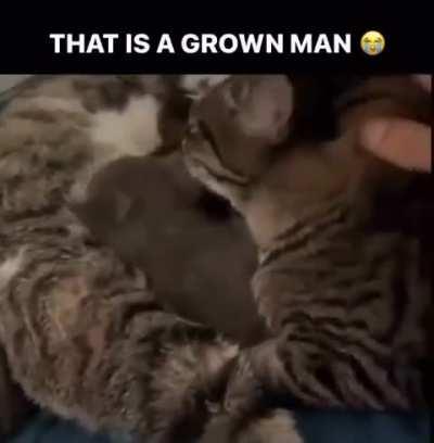 He’s the milk man🥛