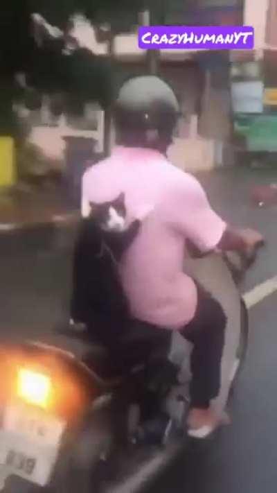 CrazyHuman brainfart compilation