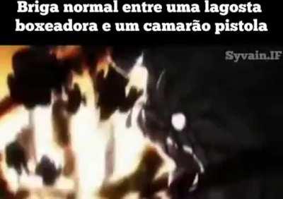 Batalha das bio-armas de fogo marinhas