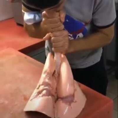 Why he having so much fun in biology class