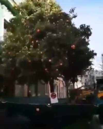 Тем временем в Испании