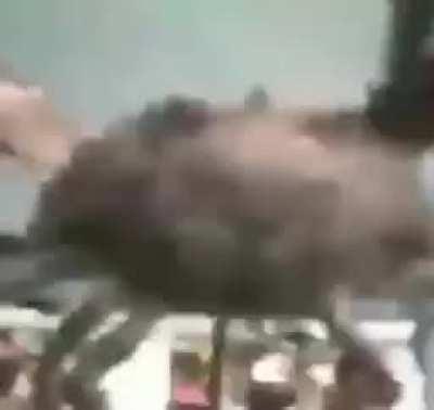 Incrível INACREDITÁVEL 👌👌👌👌😎😎😳😳🤔🤔🤔😮😮😮😮