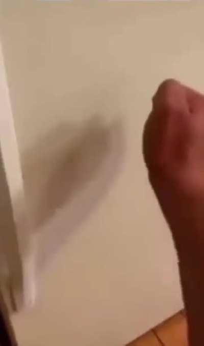 Losercity fridge vs winnercity fridge 