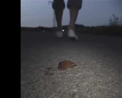 My collection of videos