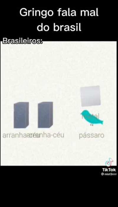 Brasileiros vs Gringos be like: