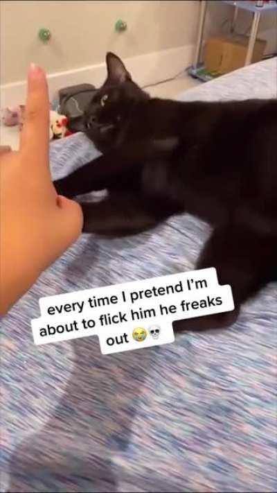 This is a bit more than startled