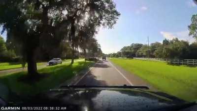 Just driving back from my morning jog, minding my own business and then suddenly, Florida man