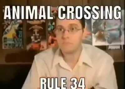 hey, what's up guys how's the wife shes a dog?